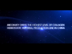 Introdução de MICONVEY Empresa